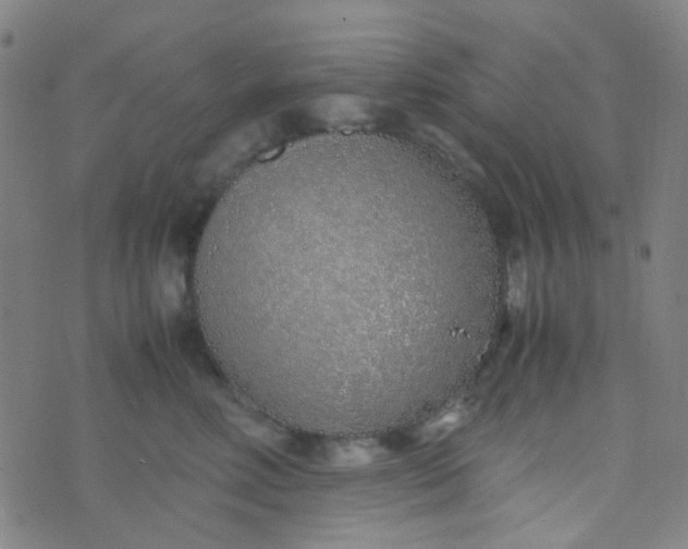 X0000070430618200606231919