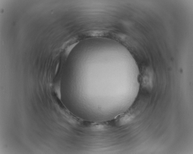 X0000070430620200606231919