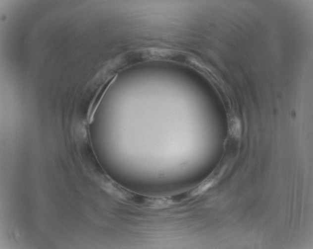 X0000070430621200606231919