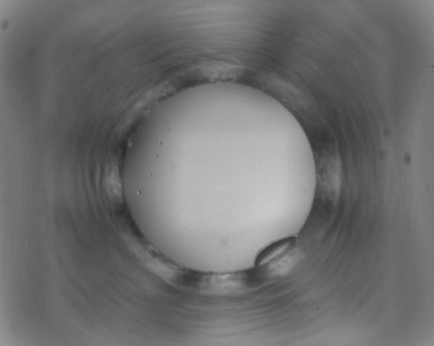 X0000070430622200606231919