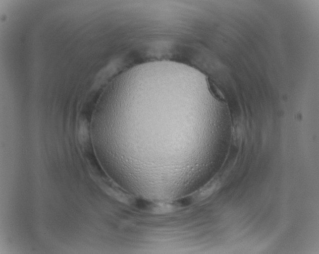 X0000070430623200606231919