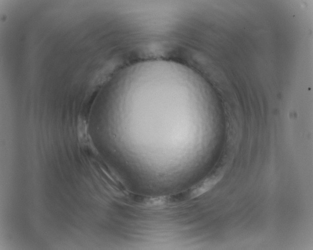 X0000070430624200606231919