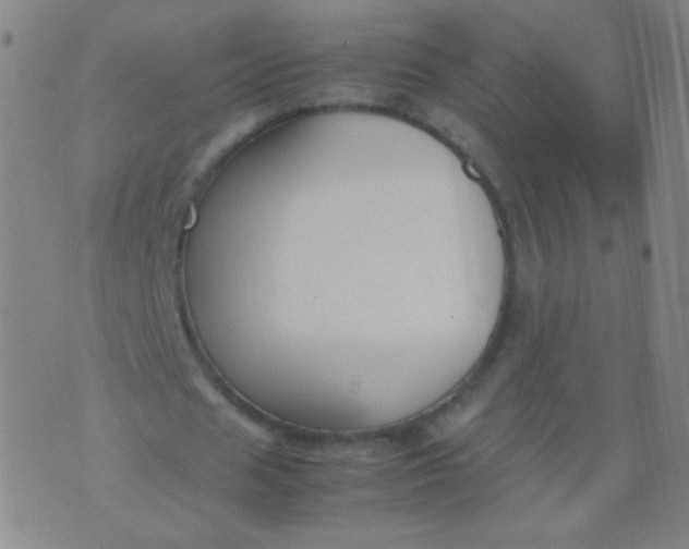 X0000070430625200606231919