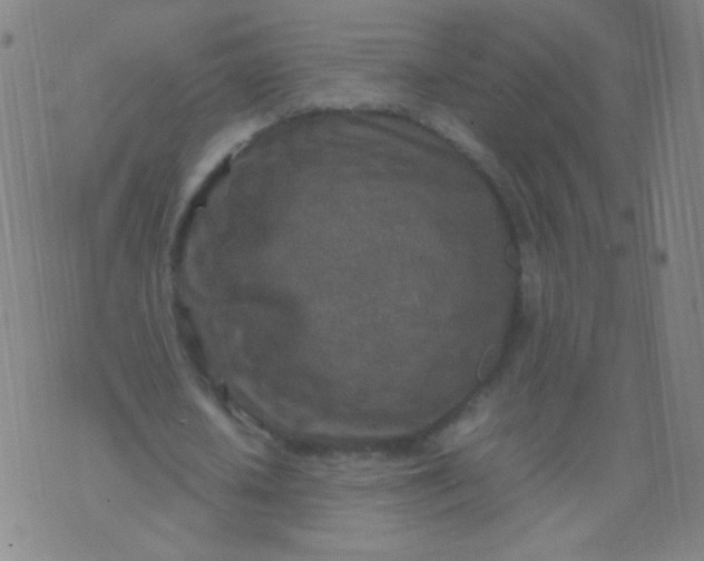 X0000070430626200606231919