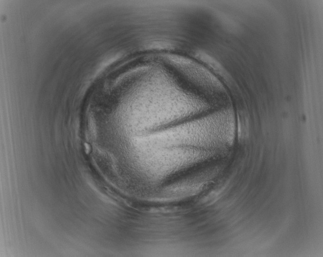 X0000070430627200606231919