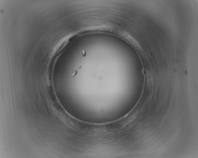 X0000070430628200606231919