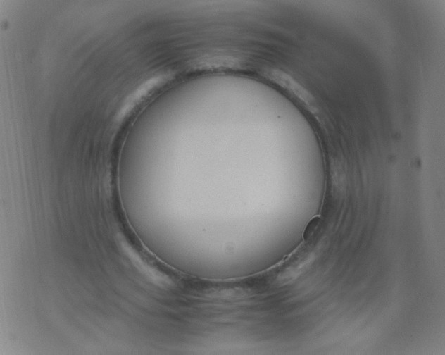 X0000070430629200606231919