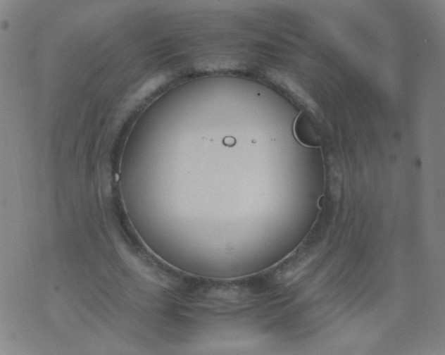 X0000070430631200606231919