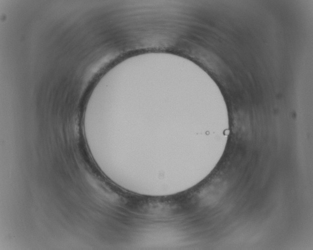 X0000070430632200606231919