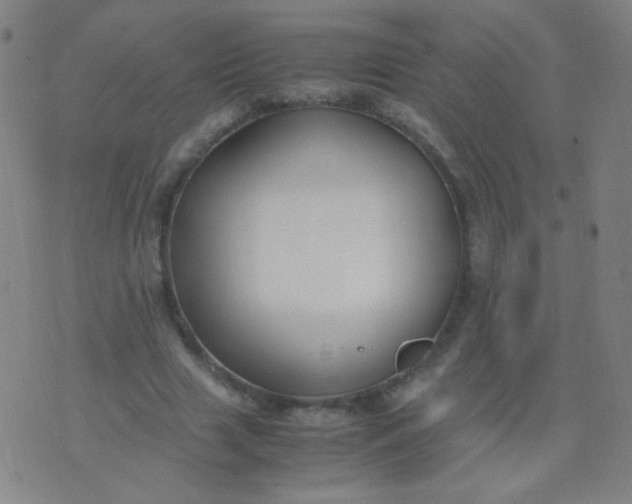 X0000070430633200606231919