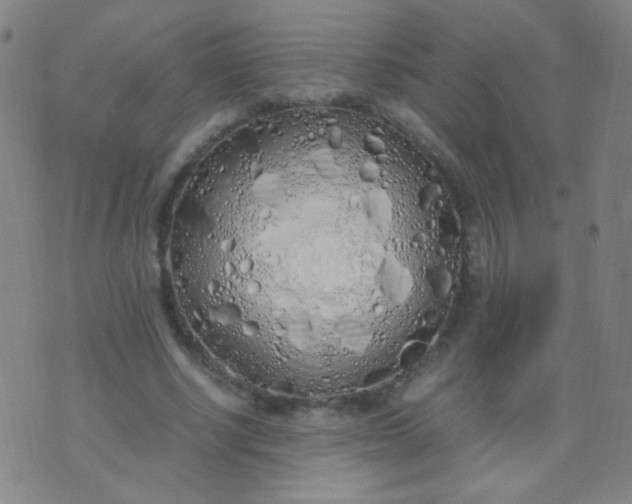 X0000070430634200606231919