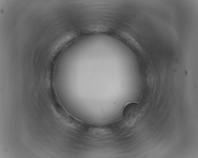 X0000070430635200606231919