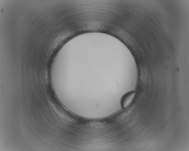 X0000070430636200606231919