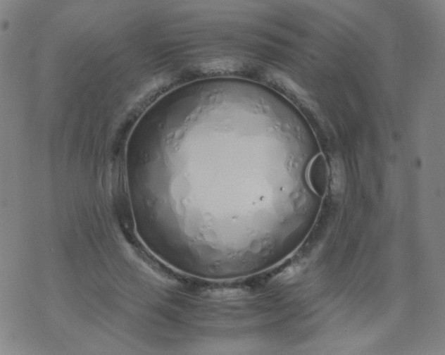 X0000070430637200606231919