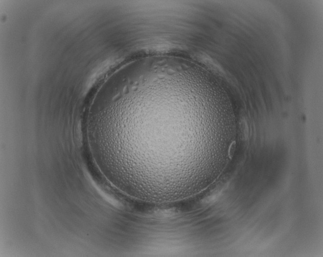 X0000070430638200606231919