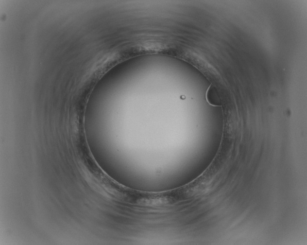 X0000070430639200606231919