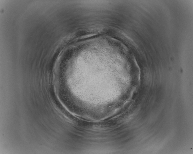 X0000070430641200606231919