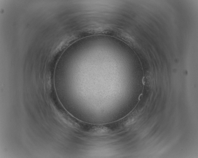 X0000070430642200606231919