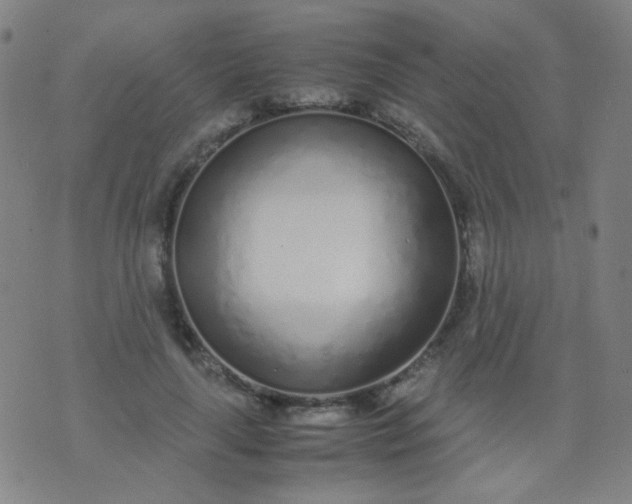 X0000070430643200606231919