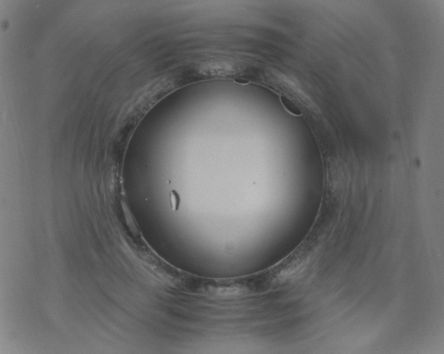 X0000070430645200606231919