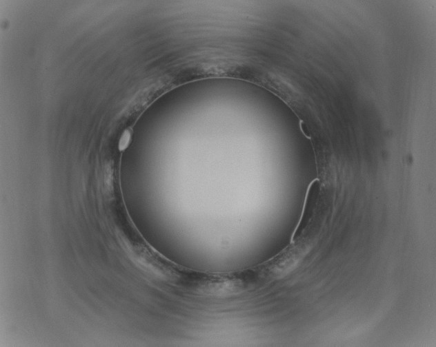 X0000070430646200606231919