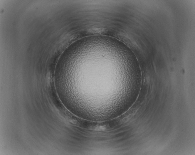 X0000070430647200606231919