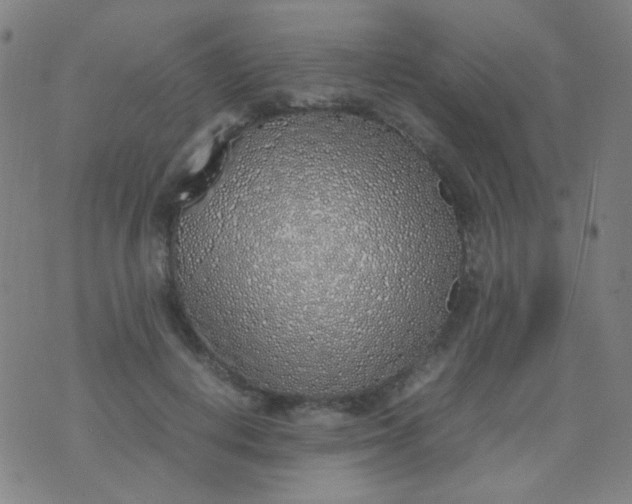 X0000070430648200606231919