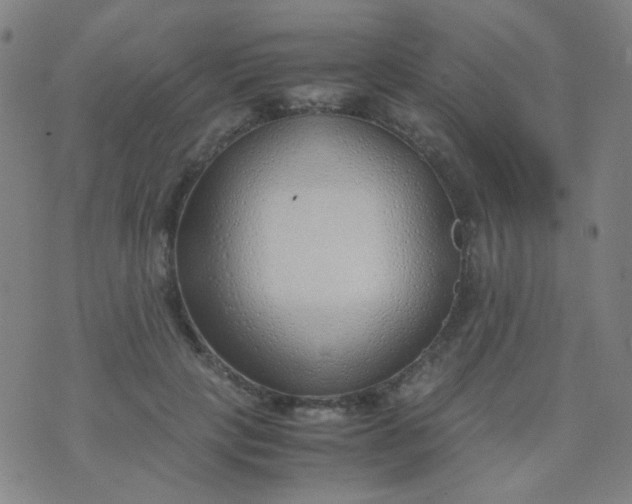 X0000070430649200606231919