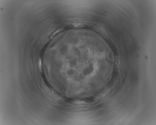 X0000070430650200606231919