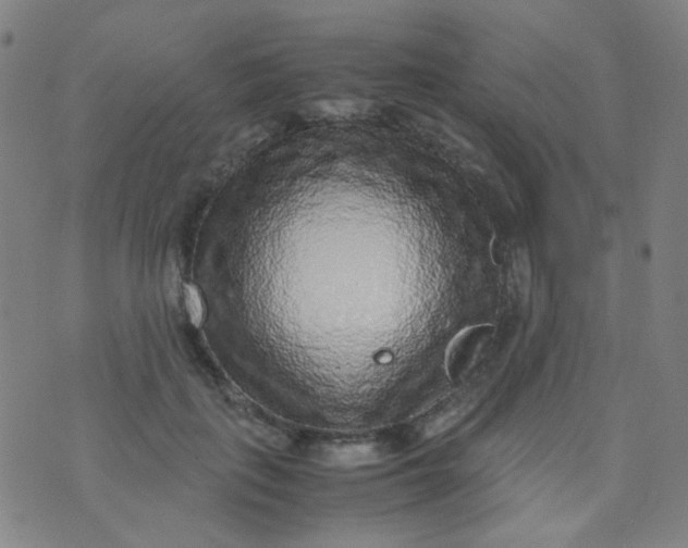 X0000070430651200606231919