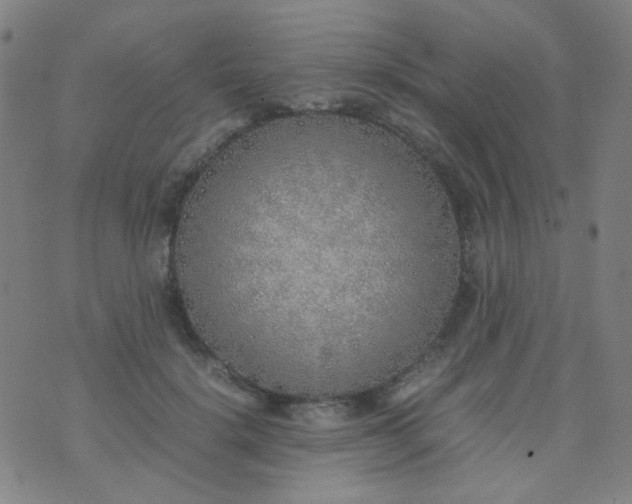 X0000070430652200606231919