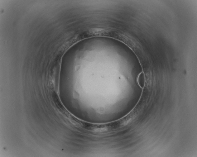 X0000070430653200606231919