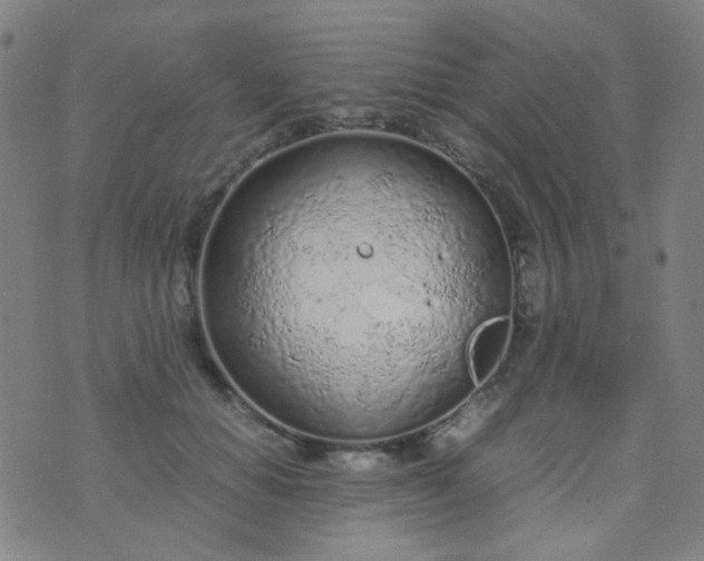 X0000070430654200606231919