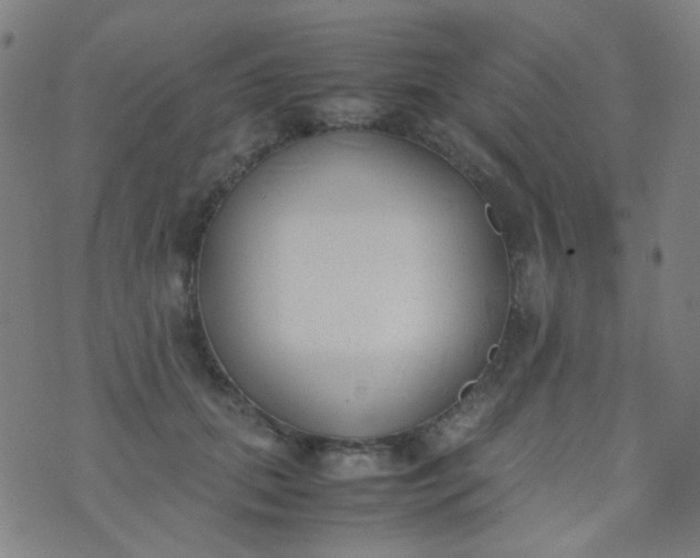 X0000070430655200606231919