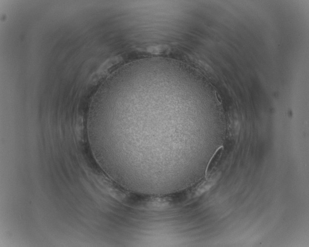 X0000070430656200606231919