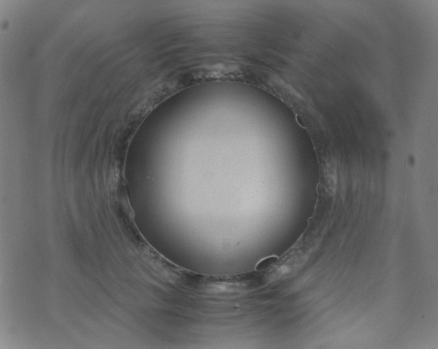 X0000070430657200606231919