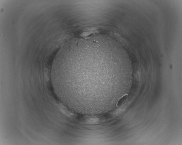 X0000070430658200606231919