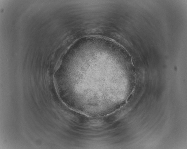 X0000070430659200606231919