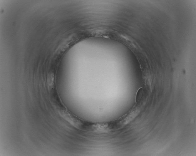 X0000070430660200606231919