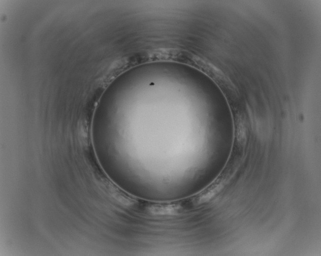 X0000070430661200606231919