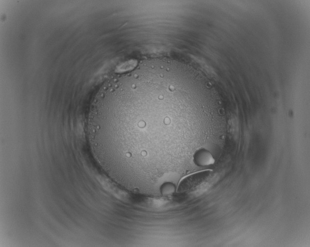 X0000070430662200606231919