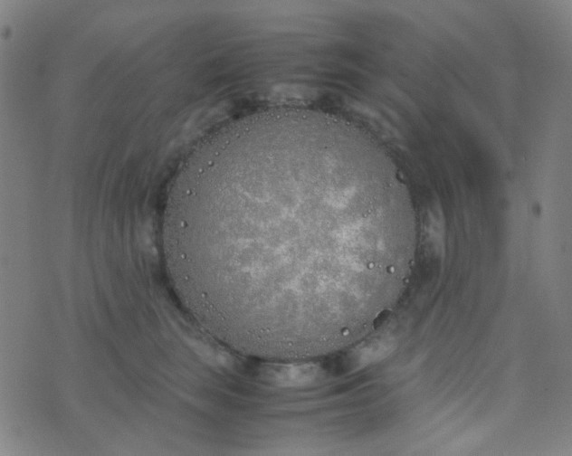 X0000070430663200606231919