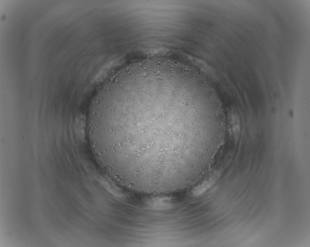 X0000070430664200606231919