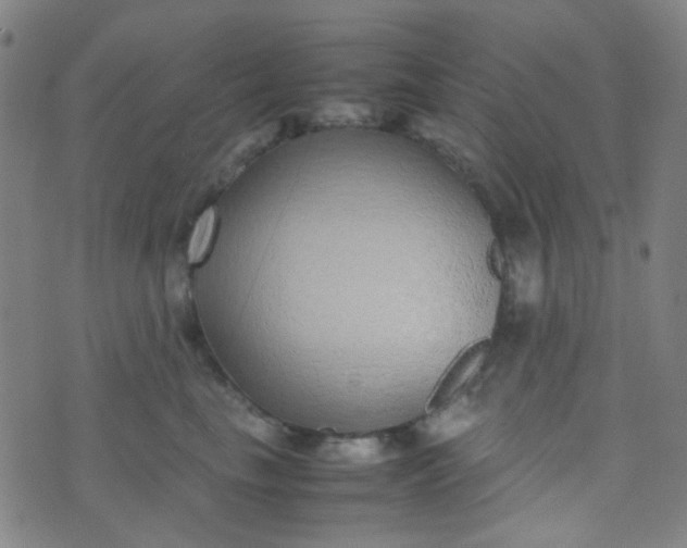 X0000070430665200606231919