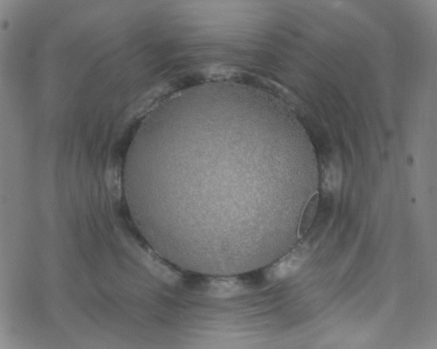 X0000070430666200606231919