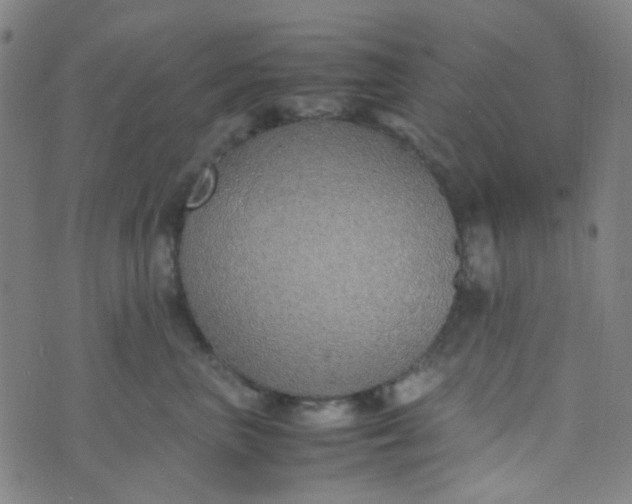 X0000070430667200606231919