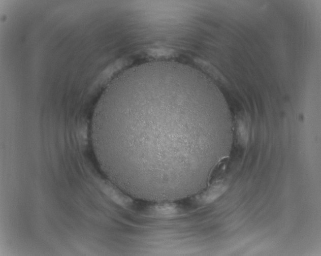 X0000070430668200606231919