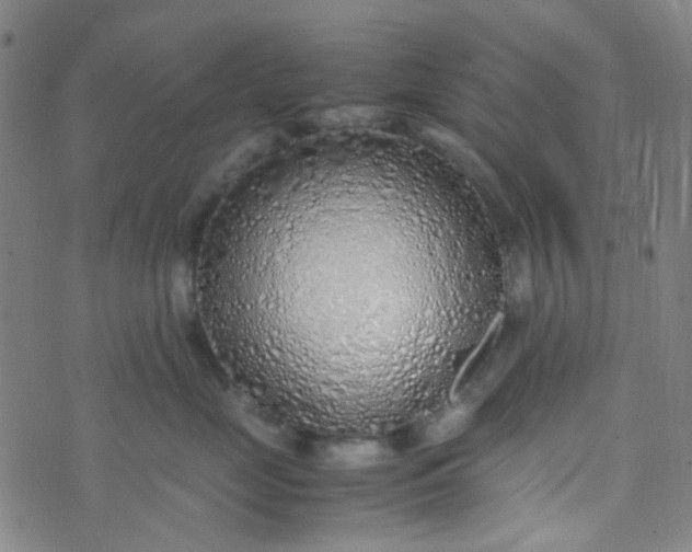 X0000070430669200606231919