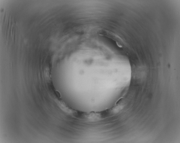 X0000070430670200606231919