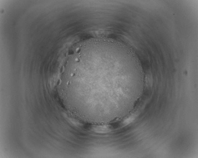 X0000070430671200606231919